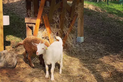 La Bertoletta Village foto 29