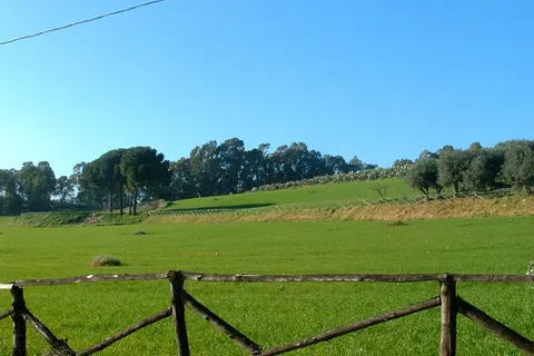 Azienda Vecchia Masseria foto 26