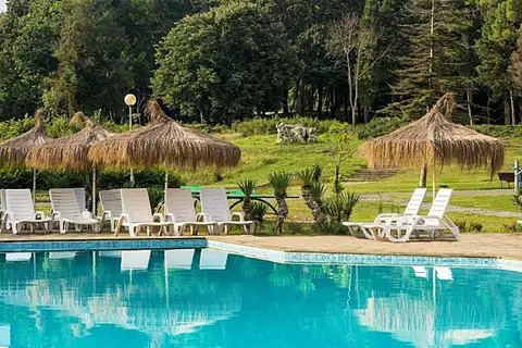 Forest Beach in Primorsko