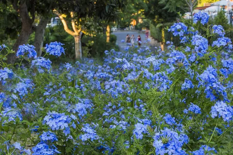 Hu Roma Camping In Town foto 14