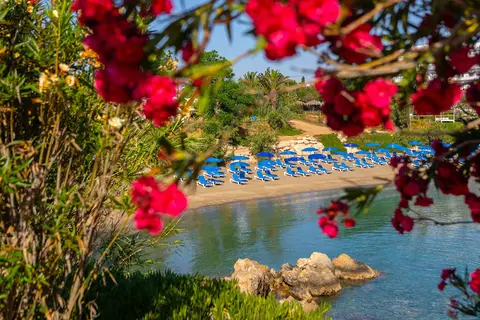 Crystal Springs Beach Hotel in Παραλίμνι — foto 15