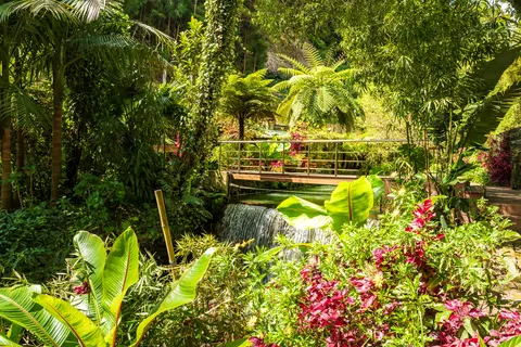 Appartementen Quinta da Mo foto 19