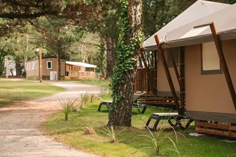 Camping Sainte-brigitte foto 7