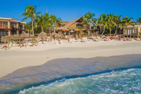 La Zebra in Cancún — foto 7