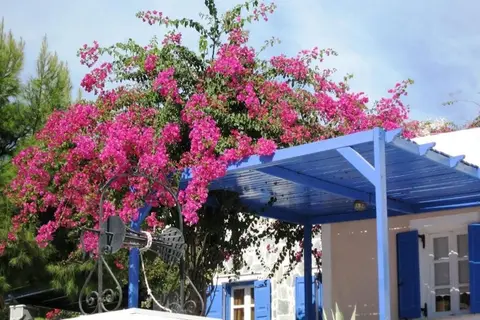 Paradise Resort Santorini in Akrotiri, foto 21