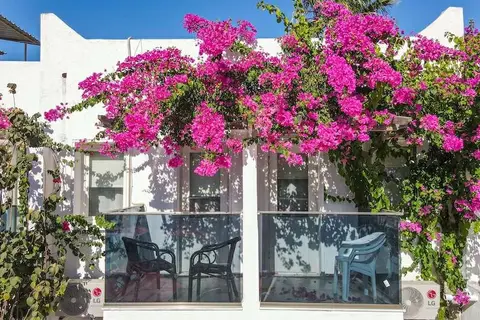 Hotel The Hello in Bodrum, foto 9