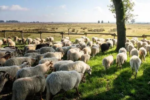 Grenzeloos Slapen-Eten-Beleven foto 34