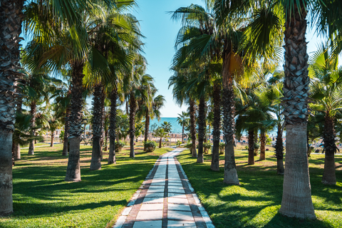 Hotel Sural Resort foto 2