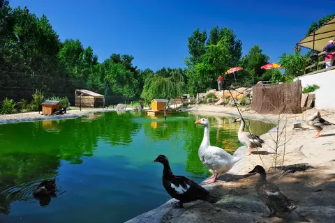 Camping Domaine La Yole in Vendres, foto 7