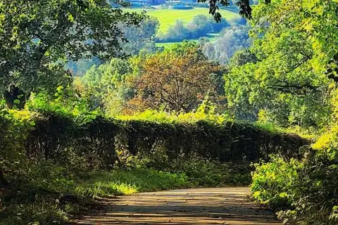 Appartementen De Zegelskoël foto 19