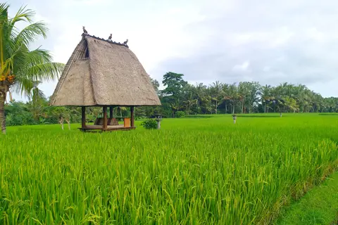 Tanah Gajah, a Resort by Hadiprana in Ubud, Kecamatan Gianyar, Kabupaten Gianyar, Bali, Indonesia, foto 23