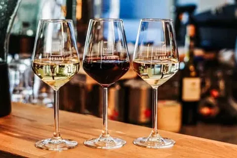 Camping de Vinkenkamp foto 5