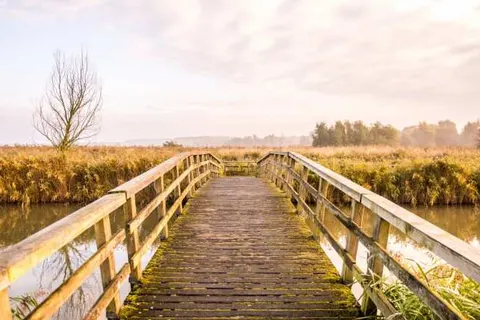 Hotel en Restaurant van Saaze foto 32