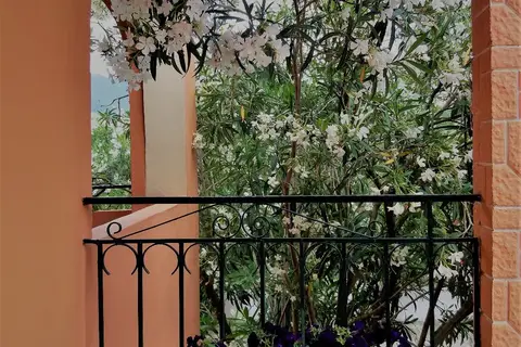 Ziogas Luxury Apartments in Ύψος — foto 22
