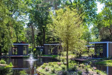 Vakantiepark De Rimboe en De Woeste Hoogte foto 22