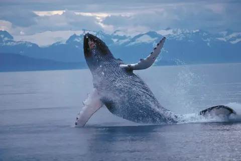 Alaska & Yukon Highlights in Alaska — foto 2
