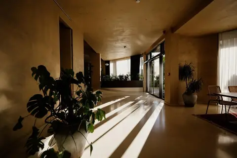 Flower Hotels & Resorts in Golem — foto 26