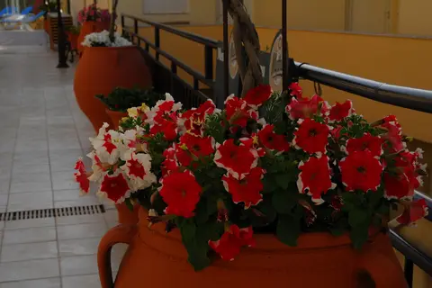 Elpis Studio-Apartments in Μπαλί — foto 19