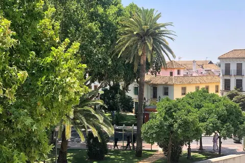 Hotel Las Casas de la Juderia in Cordoba — foto 29