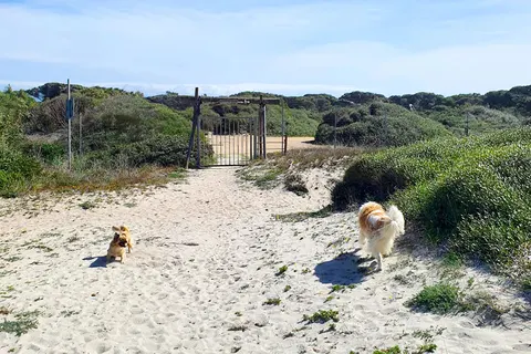 Camping S Ena Arrubia foto 9