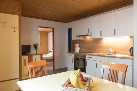 Appartementen Seilergasse in Zell am See — foto 5