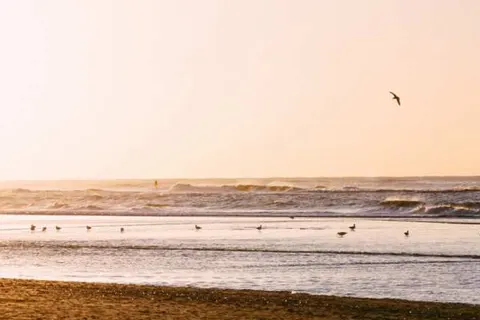 Verrassingshotel Zandvoort foto 5