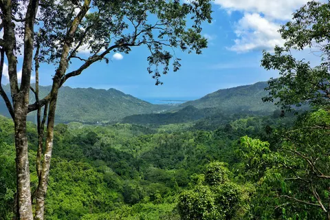 Ontdek Java en Lombok foto 5