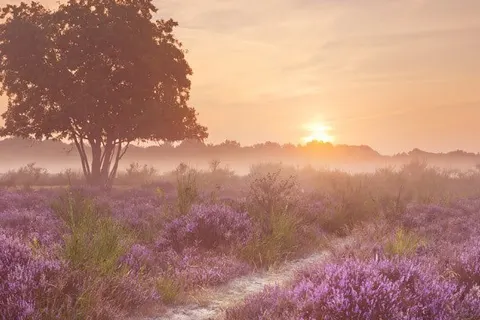 NH Amersfoort foto 20