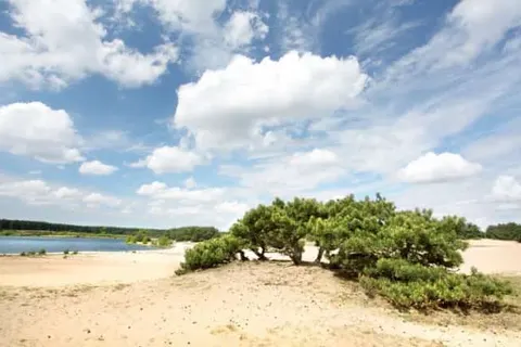 Camping Blauwe Meer foto 28