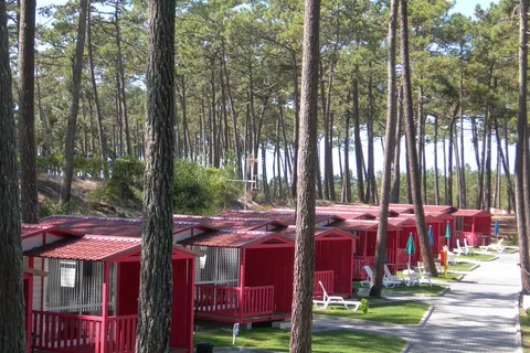 Camping Sao Pedro De Moel foto 12