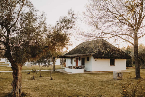 Ardea Purpurea Lodge foto 17