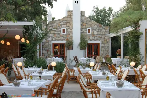 Okaliptus in Bodrum, foto 15