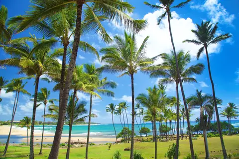 Hilton Garden Inn Kauai Wailua Bay in Kapaʻa — foto 8
