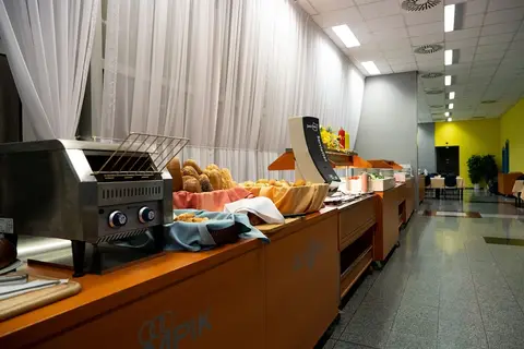 Hotel Artemis Prague in Praag, foto 19