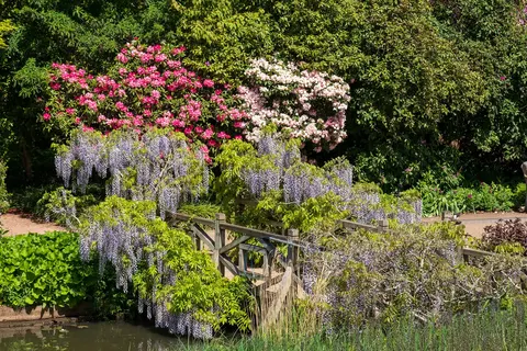 Kastelen en tuinen in Engeland foto 3