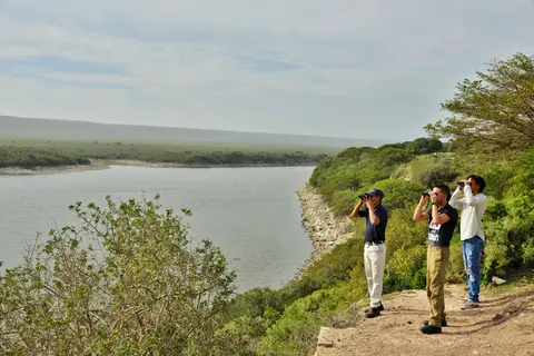De Hoop Collection in De Hoop Nature Reserve — foto 11