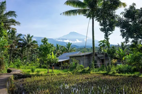 Ontdek Java en Lombok foto 10