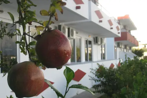 Stenna Apartments in Αντιμάχεια — foto 8