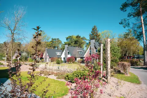 De Achterhoek in Lochem — foto 9