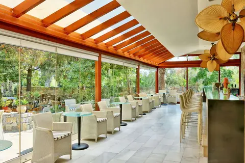 Apollonia Beach Resort & Spa in Gazi Municipal Unit, foto 14