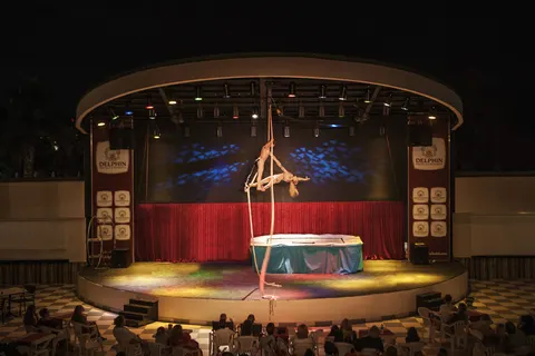 Delphin Botanik Platinum in Okurcalar — foto 17