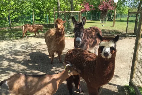 Hotel Campanile Val de France foto 3