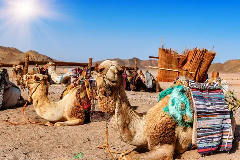 The Adventurous Oman Experience in Bawshar — foto 3