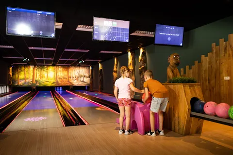 Camping Rcn Het Grote Bos foto 3