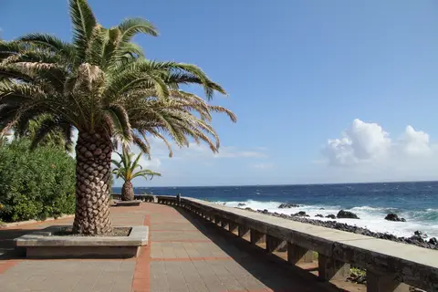 Canico Bay Apartments in Santa Cruz — foto 26