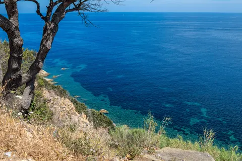 Camping Rosselba Le Palme foto 26