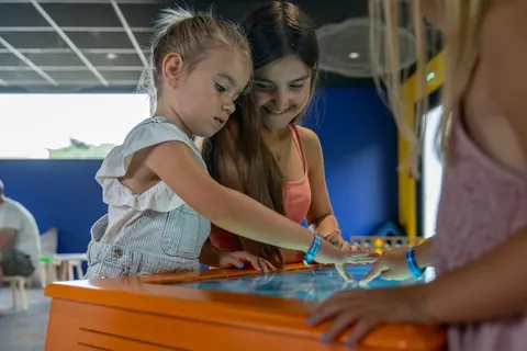 Camping La Bosse foto 6