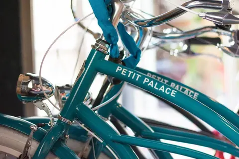 Hotel Petit Palace Plaza de la Reina foto 15