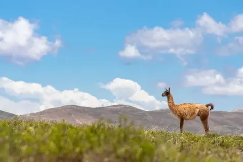 Explore Tropical Yucatán foto 7