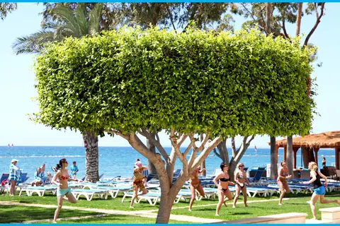 Poseidonia Beach Hotel in Agios Tychonos — foto 13